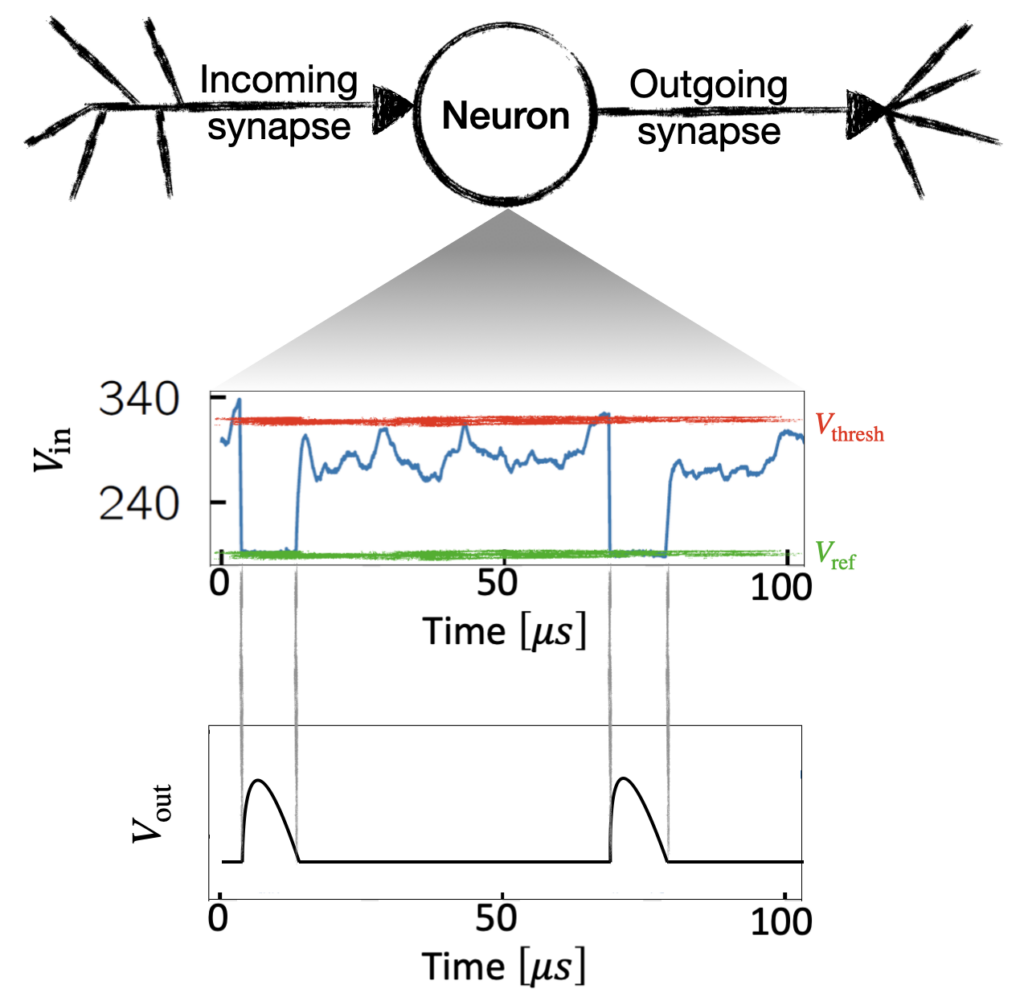 Illustration of a spiking neuron process.